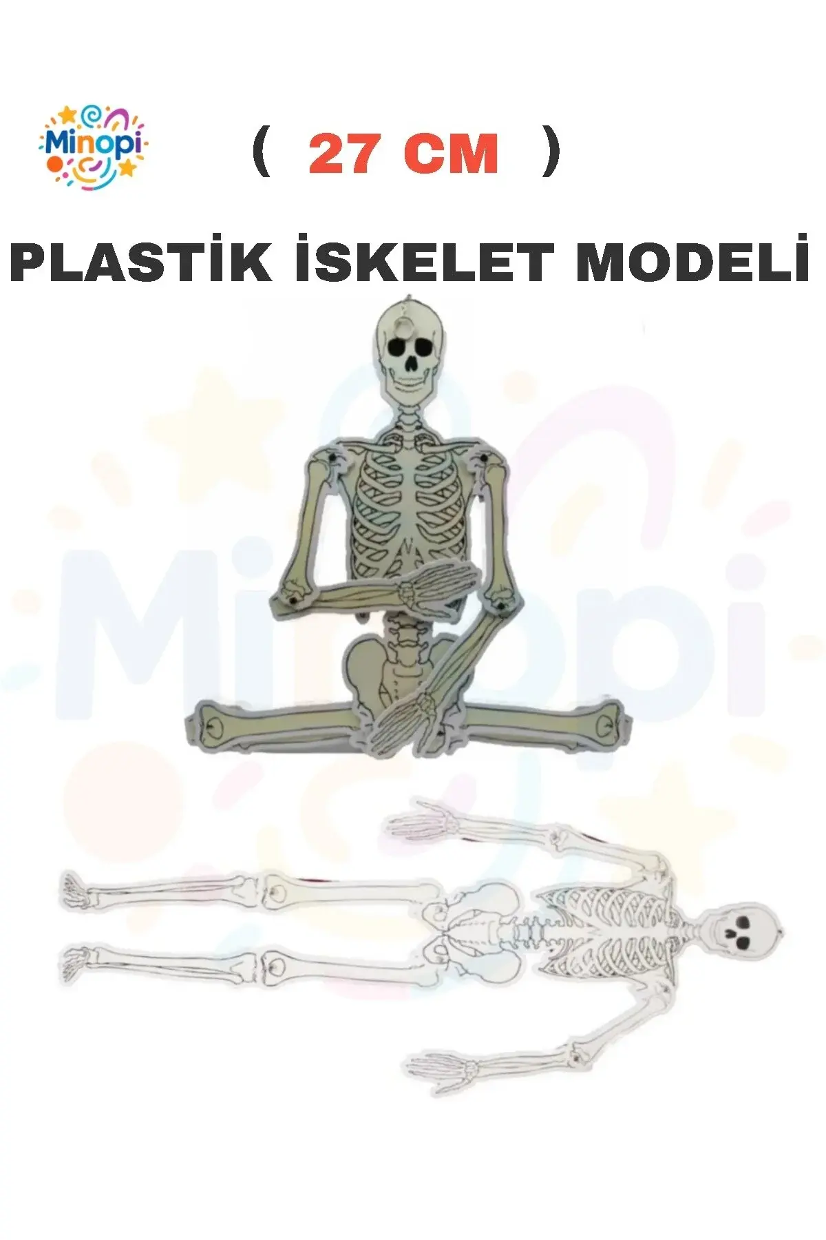 Hareketli İskelet Modeli Beyaz İskelet Modeli Deney Fen Hobi Tasarım