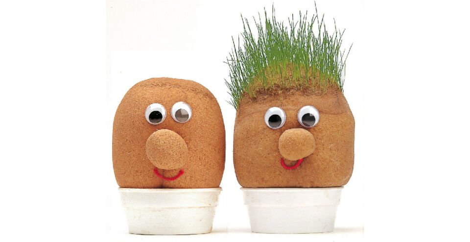 1 Paket Çim Adam Yapım Seti Okul Eğitici Deney Seti Çim Adam Seti