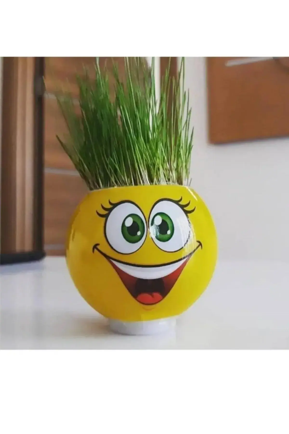 1 Kutu Emoji Çim Adam Yapım Seti Okul Eğitici Deney Seti Çim Adam Seti